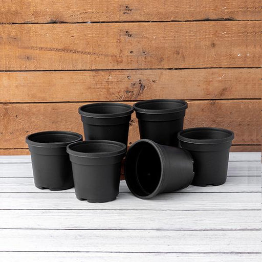 4 inch (10 cm) Grower Round Plastic Pot (Black) - Nurserylive Pune
