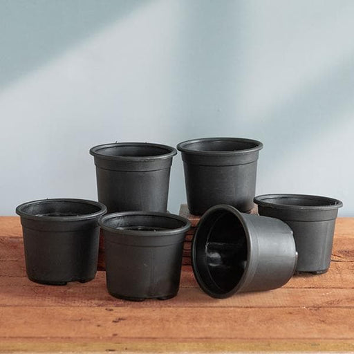 5 inch (13 cm) Grower Round Plastic Pot (Black) - Nurserylive Pune