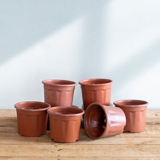 5 inch (13 cm) Grower Round Plastic Pot (Terracotta Color) - Nurserylive Pune