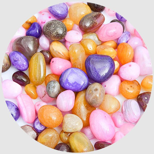 Onex Pebbles (Mix Color, Medium) - Nurserylive Pune